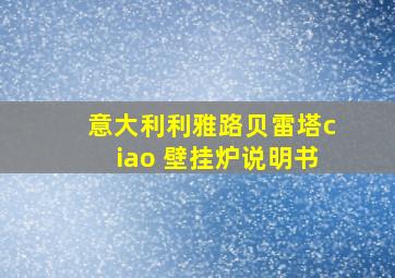 意大利利雅路贝雷塔ciao 壁挂炉说明书